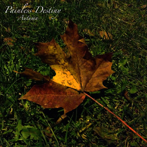 黄色小说少女之心阅读
